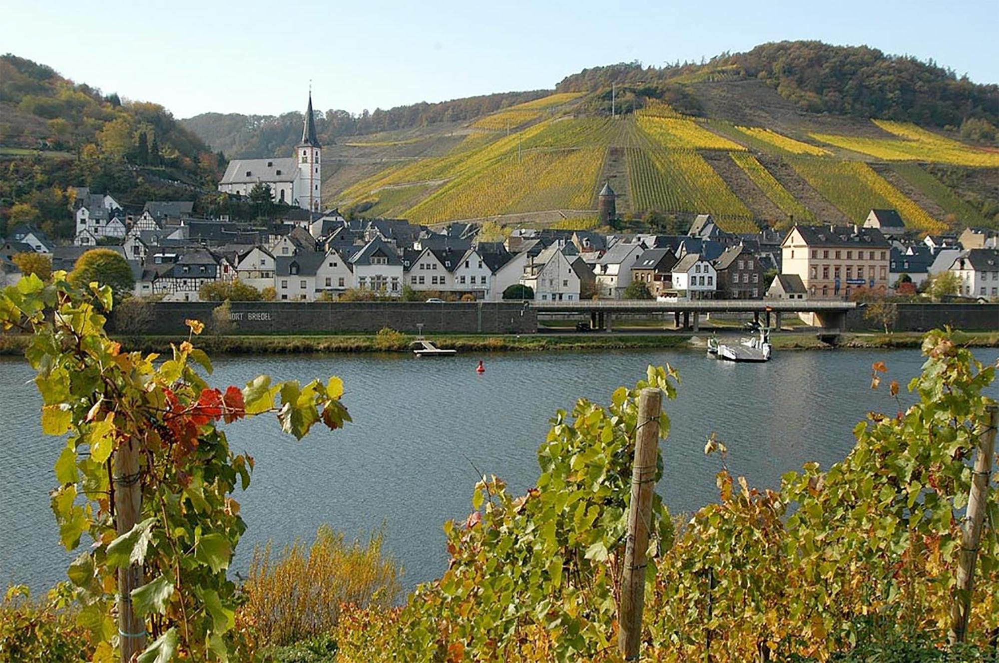 ブリーデルWeingut Rosenbaumアパートメント エクステリア 写真