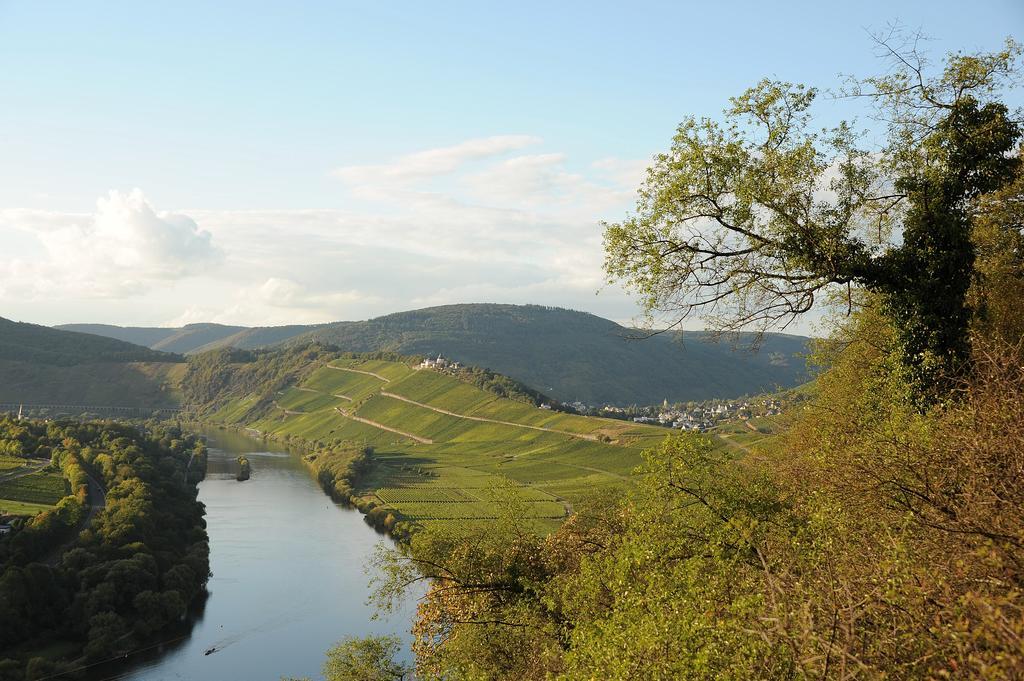 ブリーデルWeingut Rosenbaumアパートメント エクステリア 写真