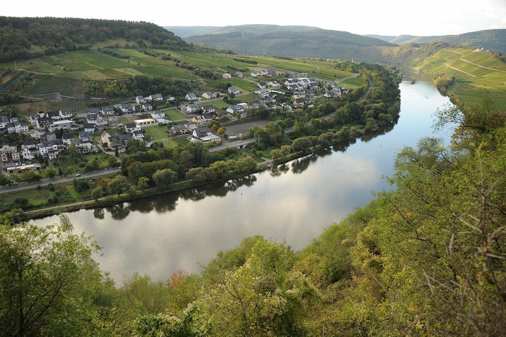 ブリーデルWeingut Rosenbaumアパートメント エクステリア 写真