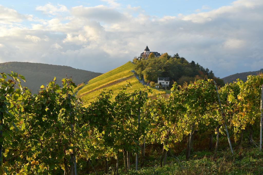 ブリーデルWeingut Rosenbaumアパートメント エクステリア 写真